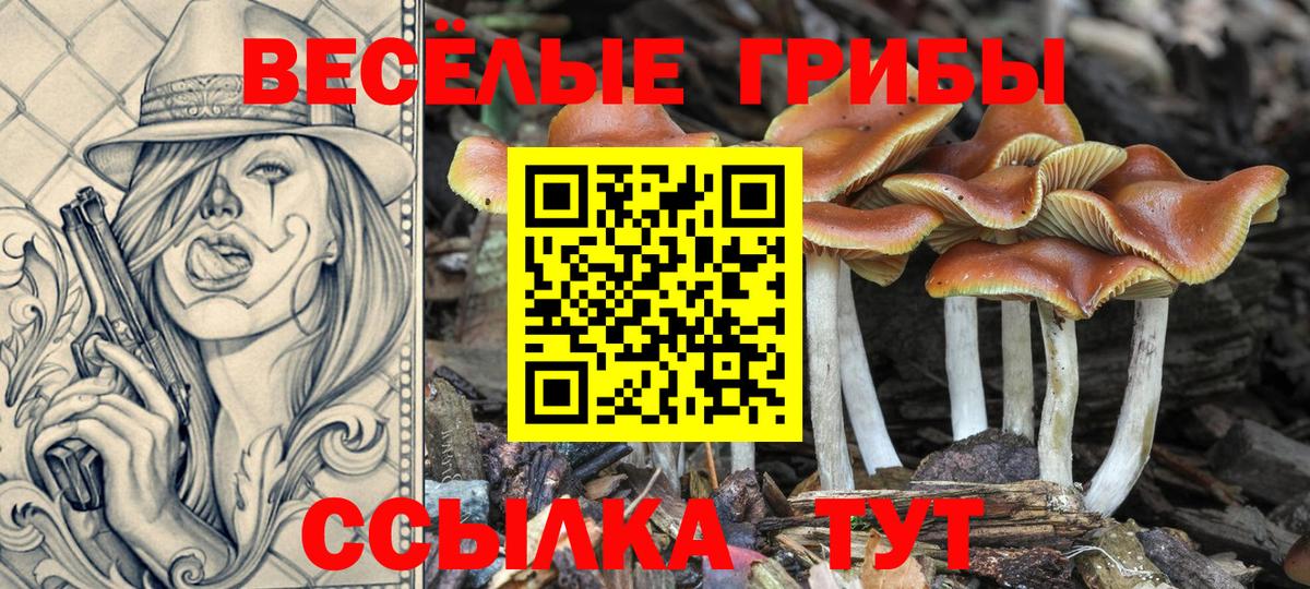 Псилоцибиновые грибы MAGIC MUSHROOMS Новокубанск